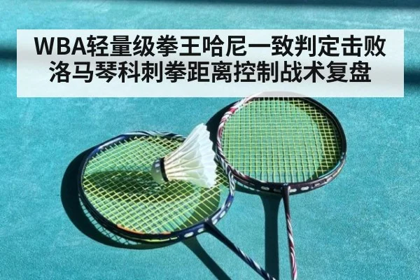 WBA轻量级拳王哈尼一致判定击败洛马琴科刺拳距离控制战术复盘